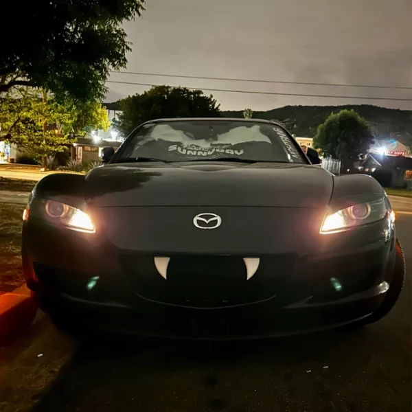 دندان سپر خودرو